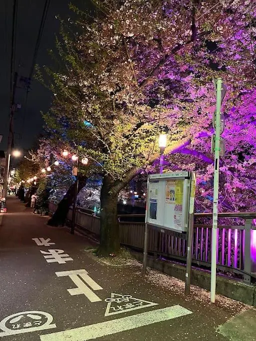 都内桜名所寝室から桜観賞リノベーリョン一軒家池袋エリア中板橋駅 Tokyo