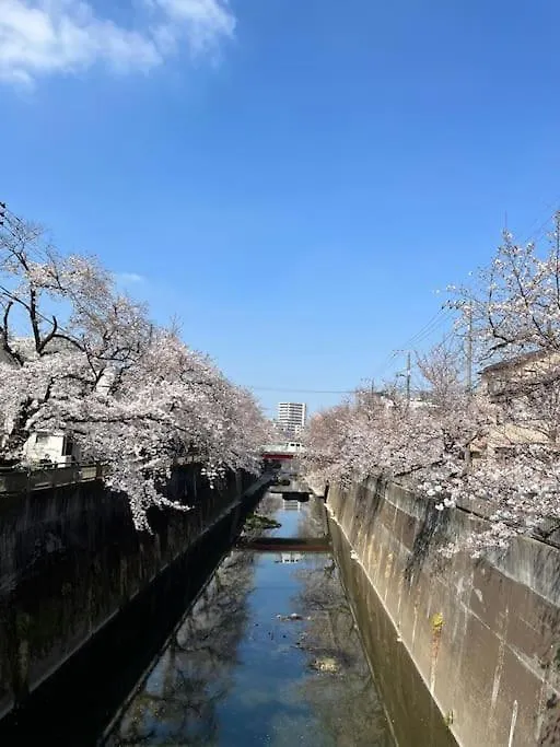 都内桜名所寝室から桜観賞リノベーリョン一軒家池袋エリア中板橋駅 Tokyo Japan