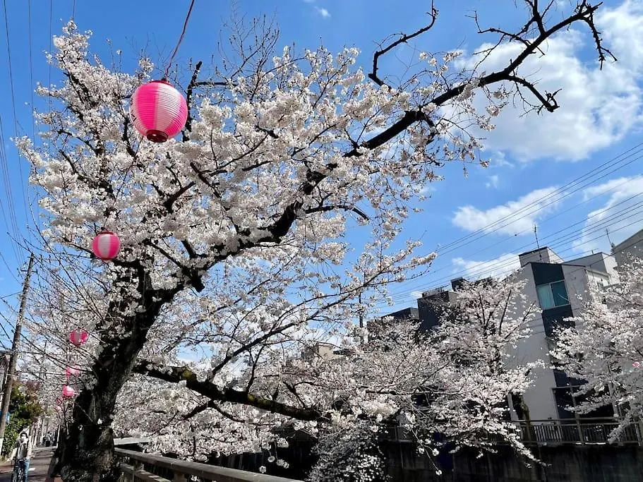 都内桜名所寝室から桜観賞リノベーリョン一軒家池袋エリア中板橋駅 Tokyo Japan