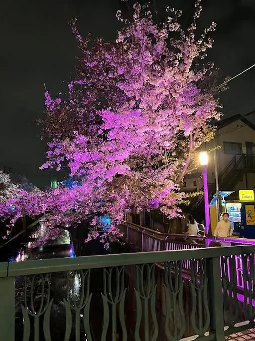 都内桜名所寝室から桜観賞リノベーリョン一軒家池袋エリア中板橋駅 Tokyo Apartment